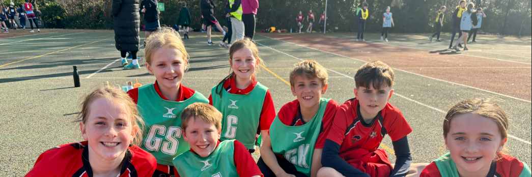netball web.PNG