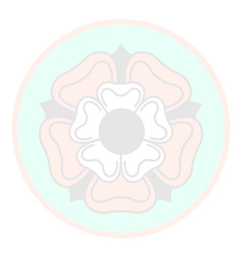 HISN logo 